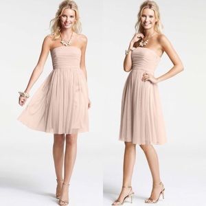NWT Ann Taylor Point D'Esprit Bridesmaid Dress